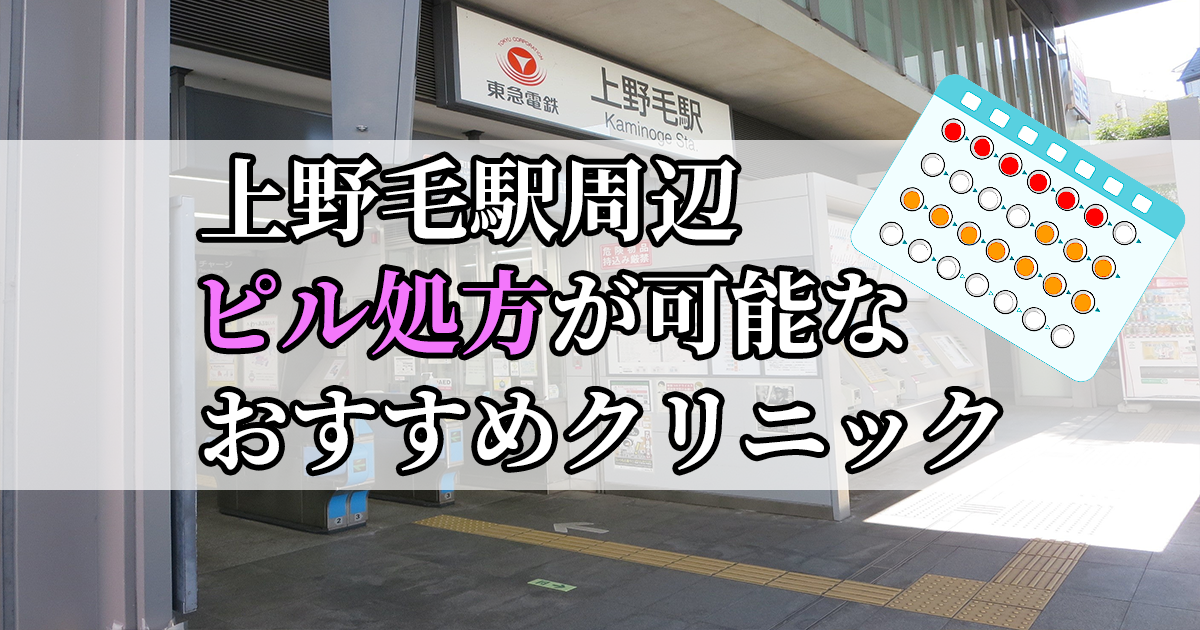 上野毛駅周辺のピル処方婦人科おすすめクリニック10選を紹介しています。